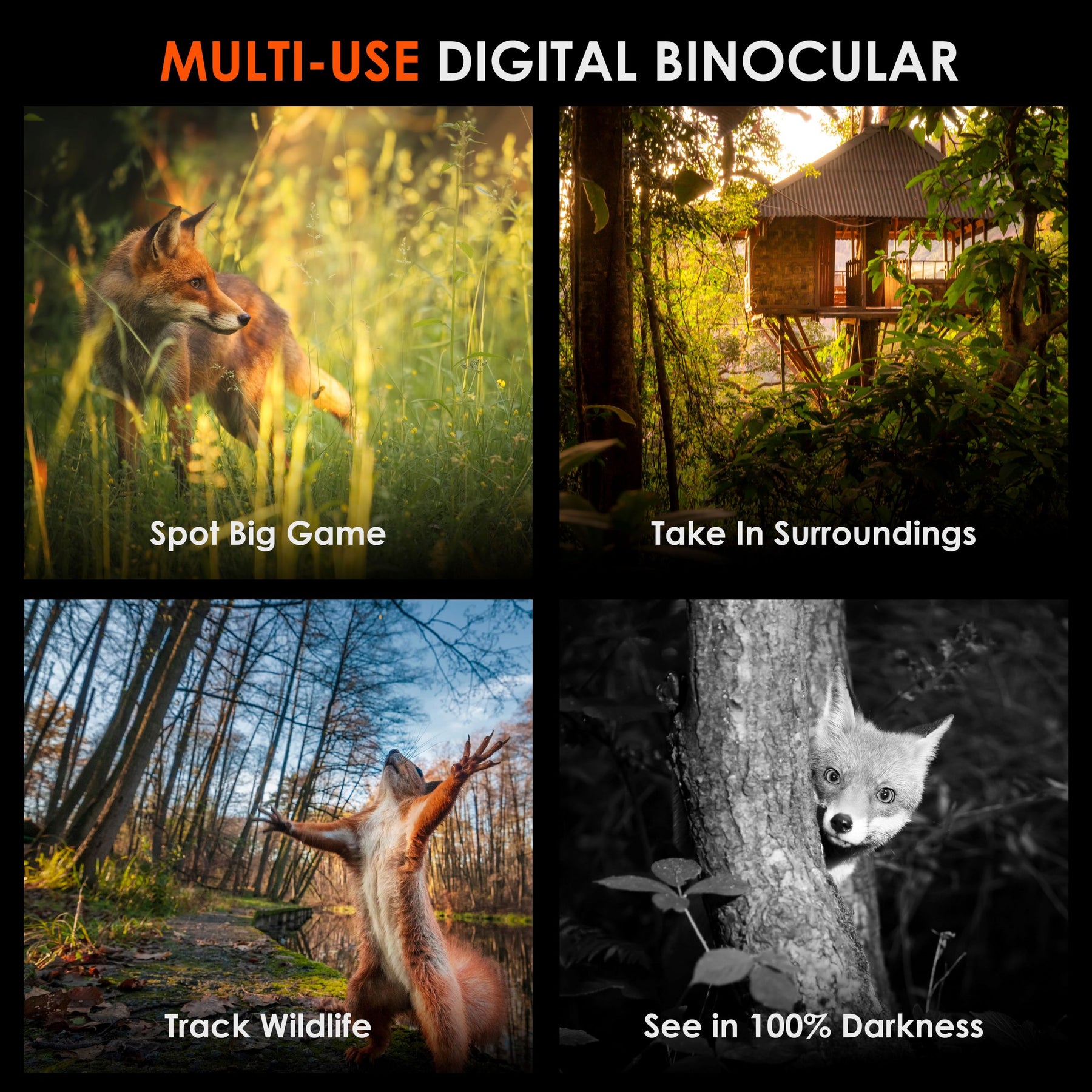 Rexing B1 Pro – Jumelles numériques à vision nocturne IR 4K