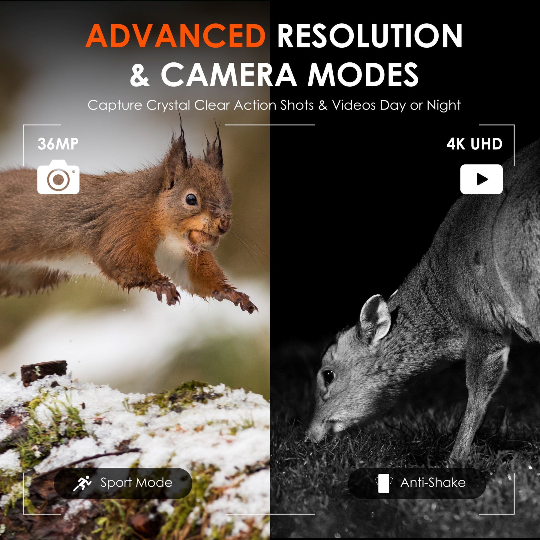 Rexing B1 Pro – Jumelles numériques à vision nocturne IR 4K