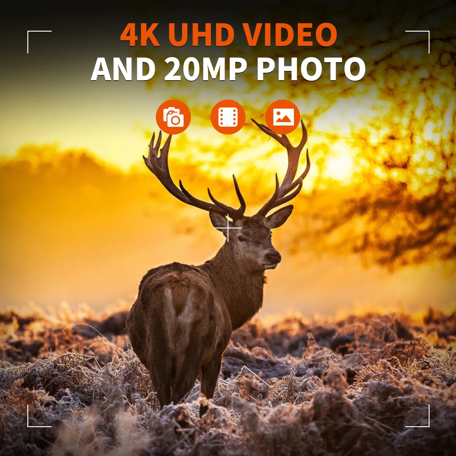 Cámara de seguimiento dual Rexing Woodlens H6 con video Ultra HD 4K+FHD