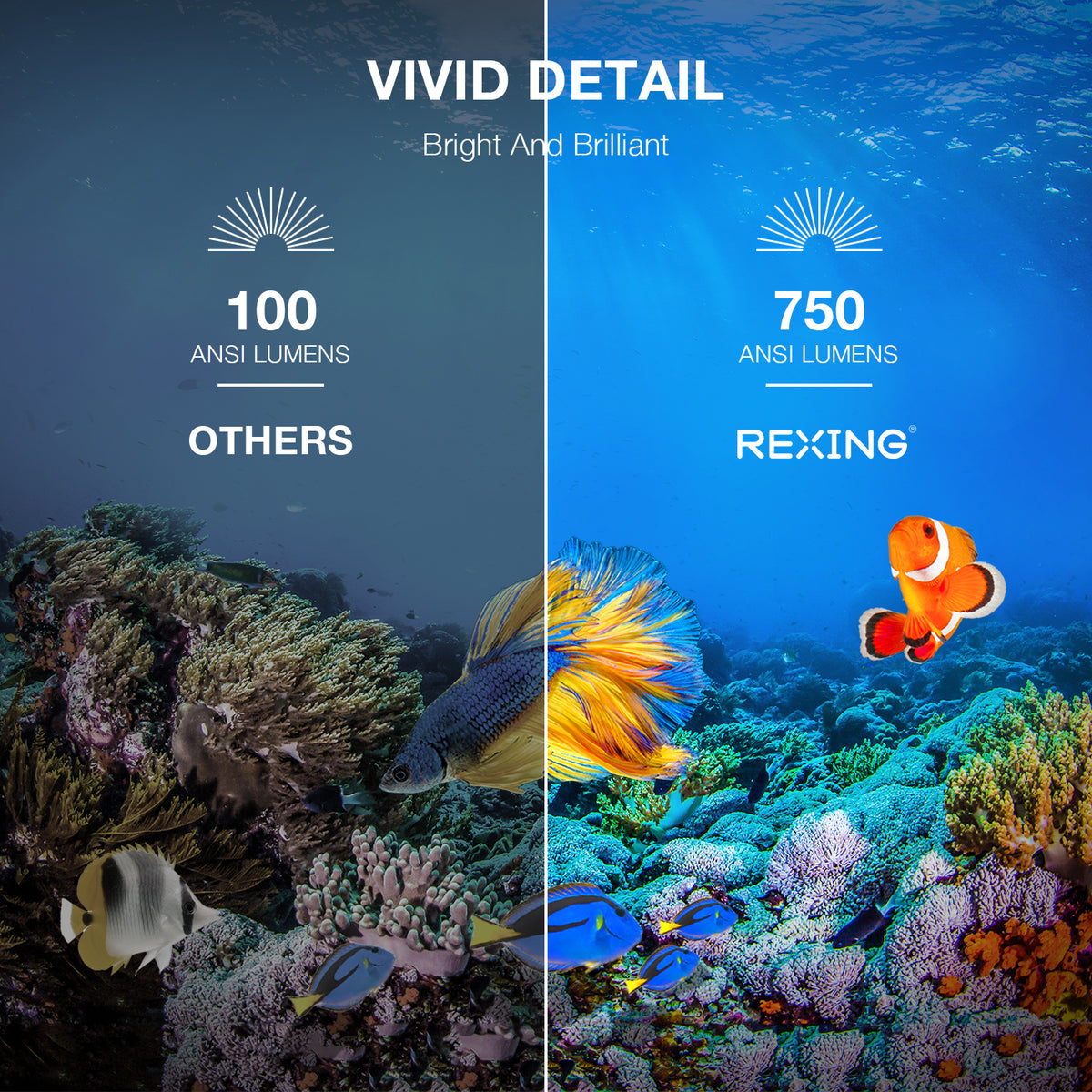 REXING PRD615 Projecteur domestique intelligent 750 ANSI Lumens HD