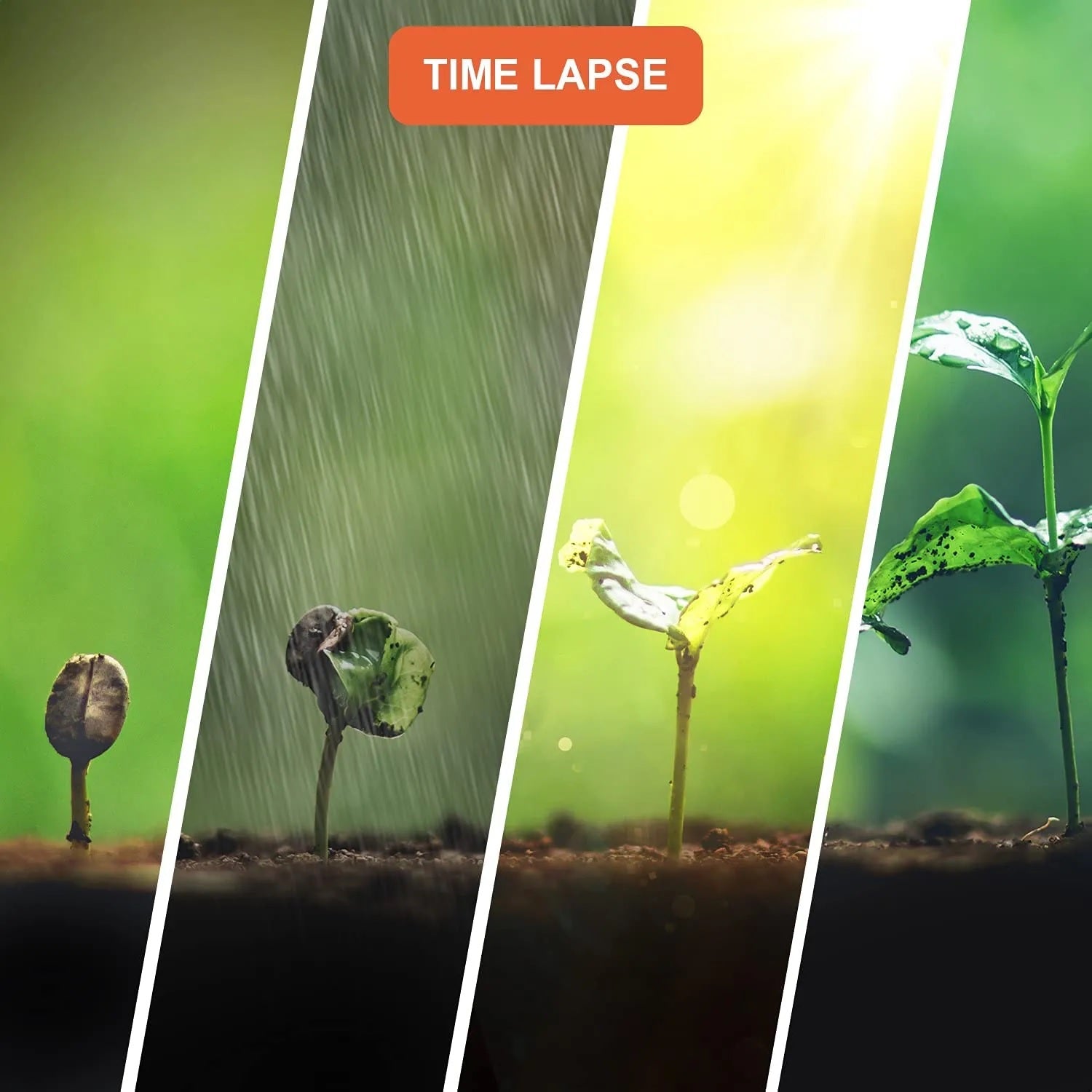 Cámara time-lapse Rexing TL1 Full HD 1920×1080